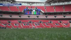 Wembley, coppe in campo