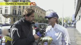 Tapiro d'oro a Mancini thumbnail