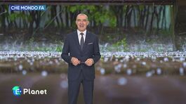 Che mondo che fa: la grandine thumbnail