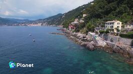 Il progetto Mare mio thumbnail