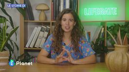 Le storie di LifeGate thumbnail