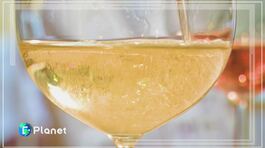 Il tempo dello champagne thumbnail