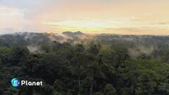 Terra madre: siamo natura