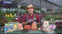 E-Garden: il momento per piantare i fiori thumbnail