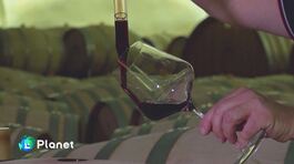 La magia del Sagrantino thumbnail