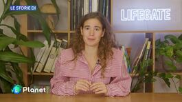 Le storie di LifeGate thumbnail