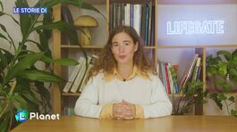 La Coop 16 in Colombia thumbnail