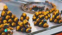 Castagne: tra gusto e tutela