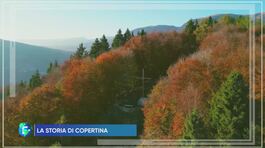 La magia del foliage thumbnail