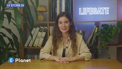 Le storie di LifeGate