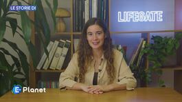 Le storie di LifeGate thumbnail