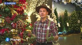 E-Garden: come rinnovare l'albero di Natale thumbnail