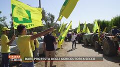 Bari, protesta degli agricoltori a secco