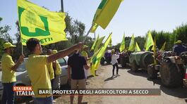 Bari, protesta degli agricoltori a secco thumbnail