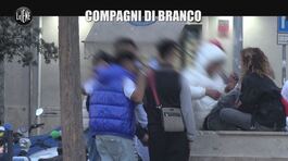 REI: Compagni di branco thumbnail