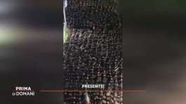 Acca Larentia, il corteo fascista thumbnail