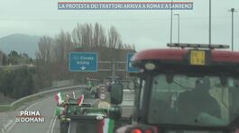 La protesta dei trattori arriva a Roma e a Sanremo thumbnail