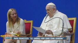 Papa Francesco: "Gli animali non sono come bambini" thumbnail