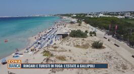 Rincari e turisti in fuga: l'estate a Gallipoli thumbnail