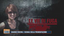 Sharon Verzeni, i segnali della premeditazione thumbnail