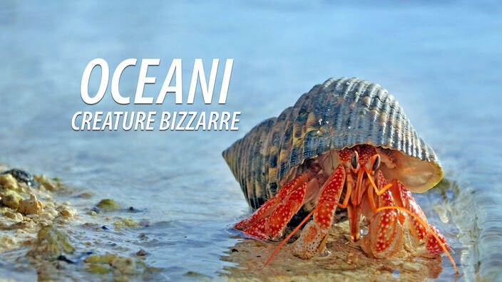 Oceani: creature bizzarre