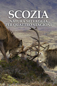 Ep. 3 - Autunno logo