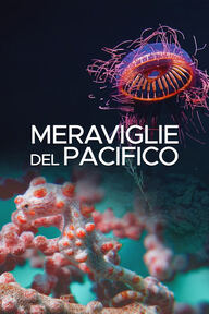 Ep. 1 - Il mare aperto logo