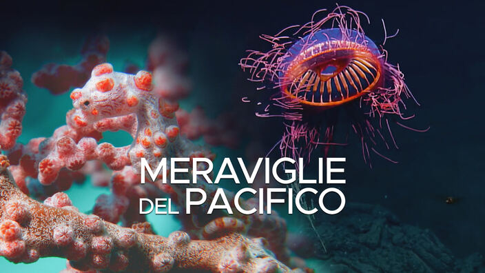 Meraviglie del Pacifico