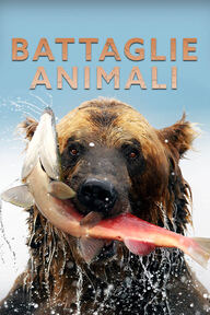 Battaglie animali - Furia fredda