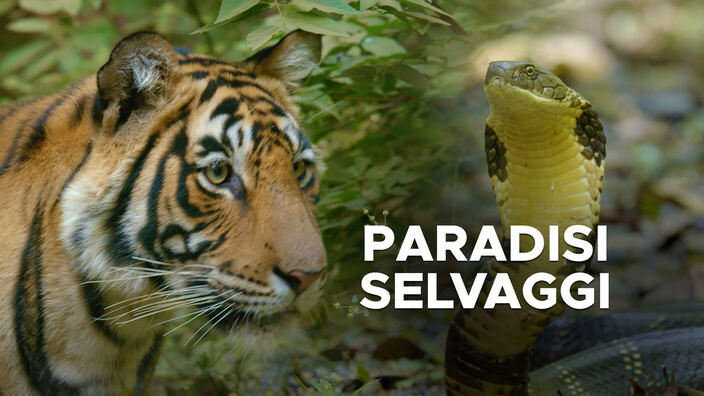 Paradisi selvaggi (di t. barton-humphreys)