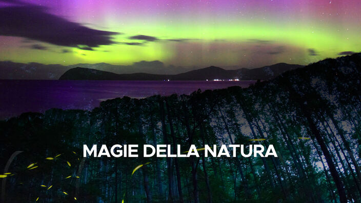 Magie della natura