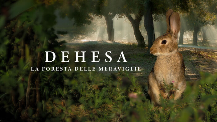 Dehesa - La foresta delle meraviglie