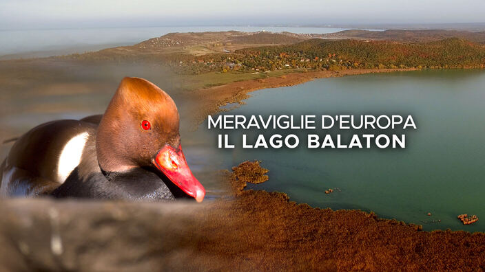 Meraviglie d'Europa: il lago Balaton