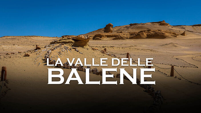La valle delle balene