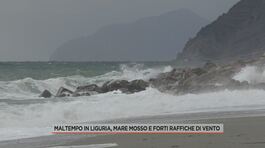 Maltempo in Liguria, mare mosso e forti raffiche di vento thumbnail