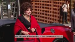 Gina Lollobrigida, nuovi guai per l'ex factotum Andrea Piazzolla? thumbnail