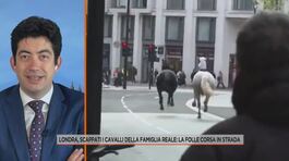 Londra, scappati i cavalli della famiglia reale: la folle corsa in strada thumbnail