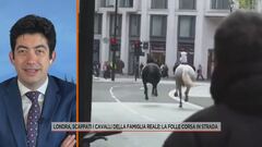 Londra, scappati i cavalli della famiglia reale: la folle corsa in strada