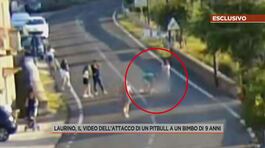 Laurino, il video dell'attacco di un pitbull a un bimbo di 9 anni thumbnail