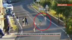 Laurino, il video dell'attacco di un pitbull a un bimbo di 9 anni