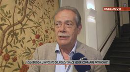 Gina Lollobrigida, l'avvocato del figlio: "Spiace veder scomparire patrimonio" thumbnail