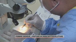 Febbre Dengue, i sintomi da non sottovalutare thumbnail
