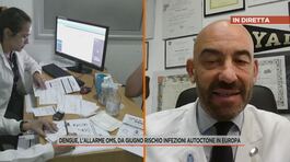 Dengue, l'allarme Oms, da giugno rischio infezioni autoctone in Europa thumbnail