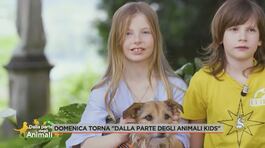 Domenica torna "Dalla parte degli animali kids" thumbnail