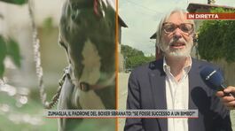 Zumaglia, il padrone del boxer sbranato: "Se fosse successo a un bimbo?" thumbnail