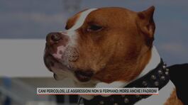 Cani pericolosi, le aggressioni non si fermano: morsi anche i padroni thumbnail