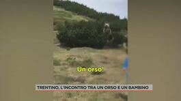 Trentino, l'incontro tra un orso e un bambino thumbnail