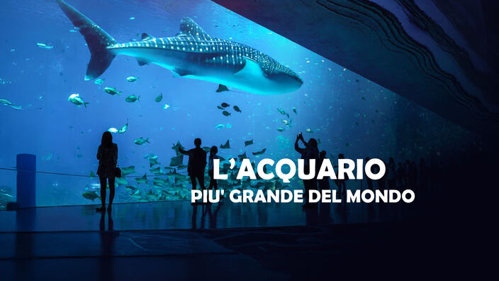 L' acquario piu' grande del mondo