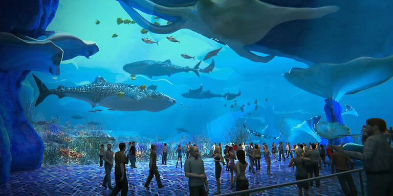 Focus L' acquario piu' grande del mondo