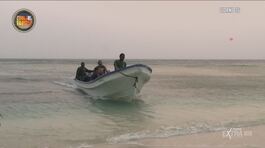 I Barracudas sbarcano su Playa Joya thumbnail